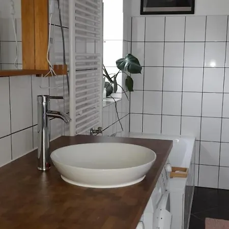 Huebscher Wohnen-geraeumige Im Gutshaus Nahe Saale Und Elbe Lejlighed