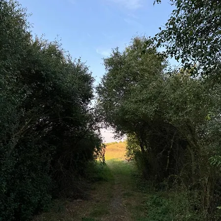 Huebscher Wohnen-geraeumige Im Gutshaus Nahe Saale Und Elbe 公寓 Calbe