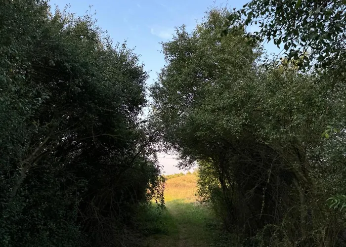 Huebscher Wohnen-geraeumige Im Gutshaus Nahe Saale Und Elbe Lägenhet Calbe